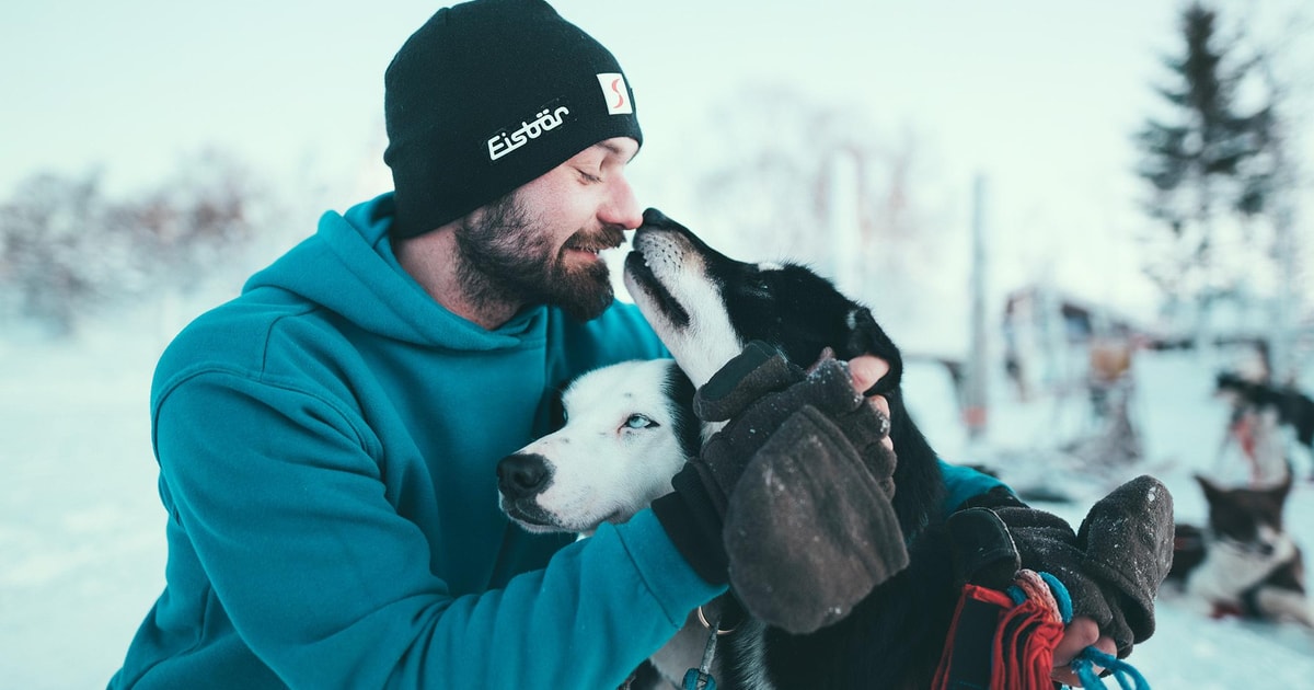 Traveller driving a husky sled across snowy terrain