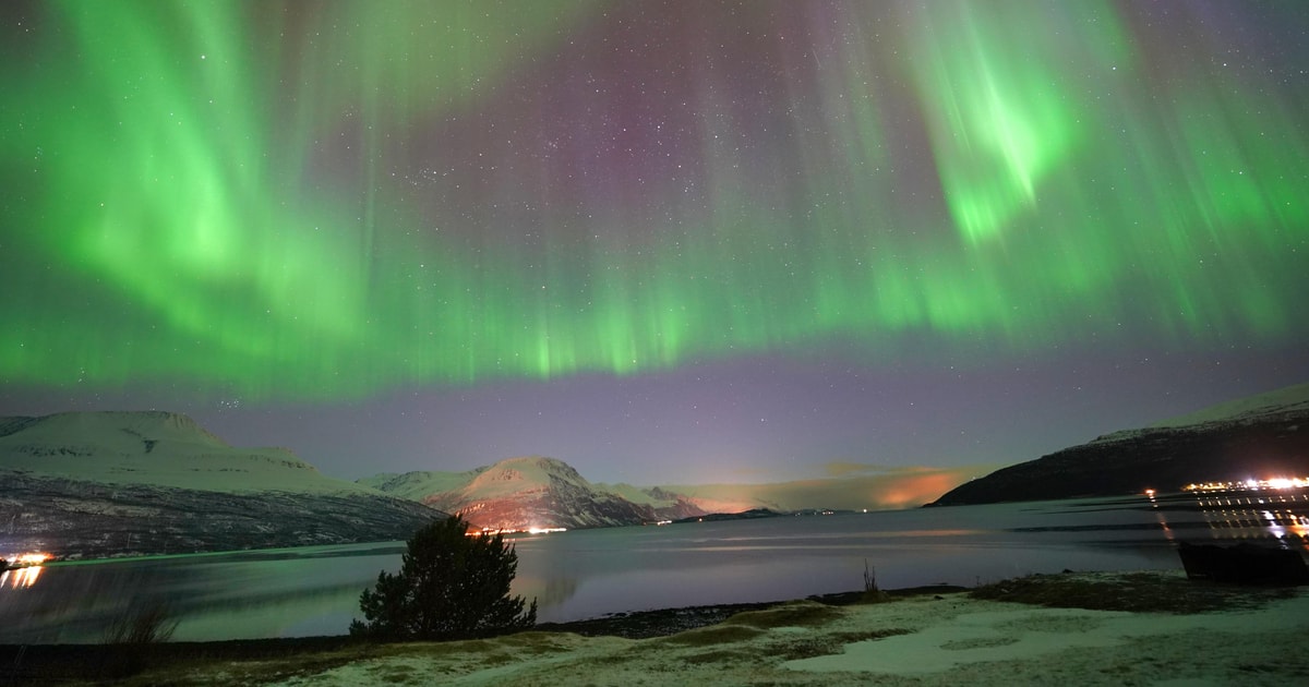 Campfire stop during a northern lights minibus tour