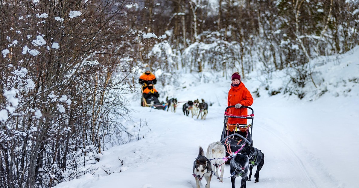 Dog-sledding team travelling through Tamokdalen