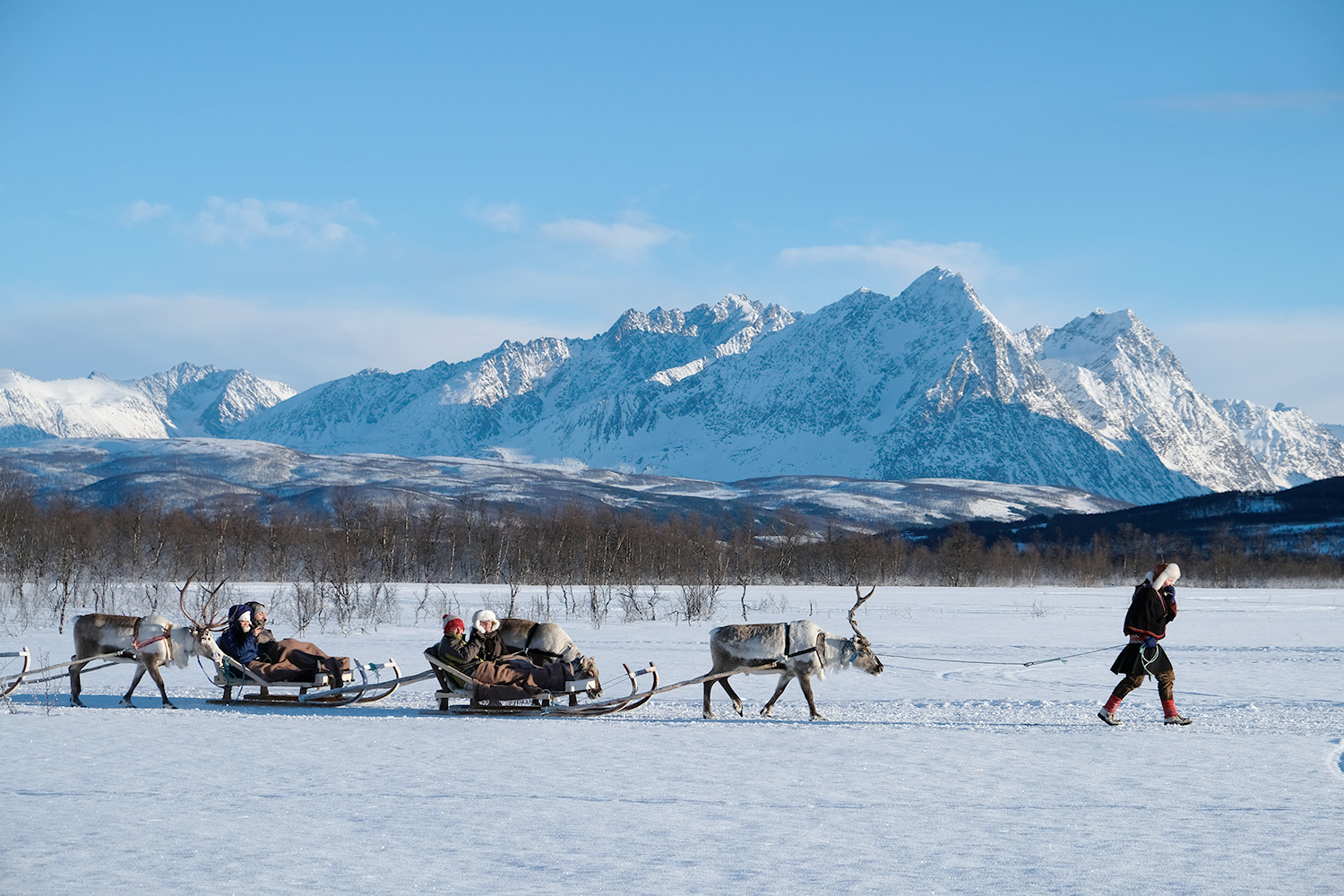 Reindeer sledding through an Arctic winter landscape