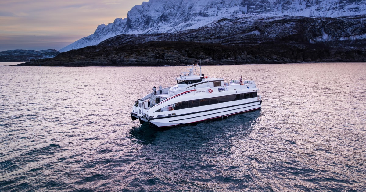Fast catamaran used for whale watching from Tromsø
