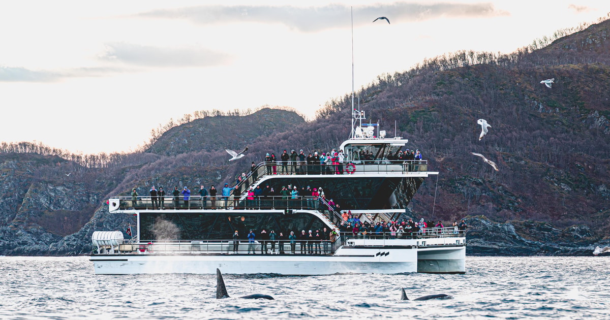 Hybrid-electric whale-watching vessel in an Arctic fjord