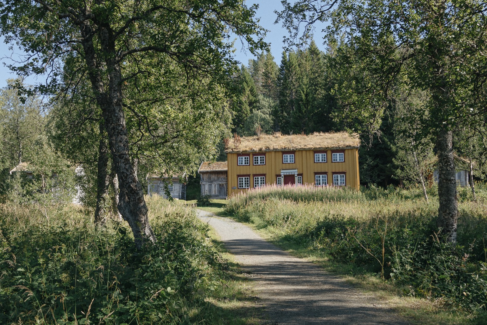 Yellow wooden Mortengården farmhouse with turf roof and path at Folkeparken