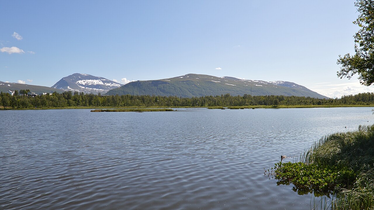 Prestvannet lake in summer with woodland and mountains beyond