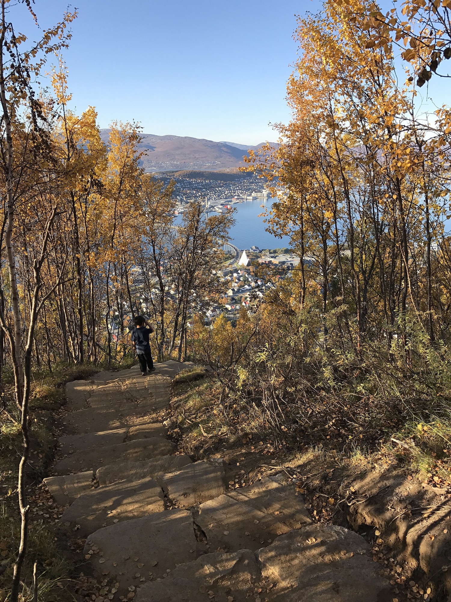 Sherpa Stairs descending through autumn birch trees above Tromsø
