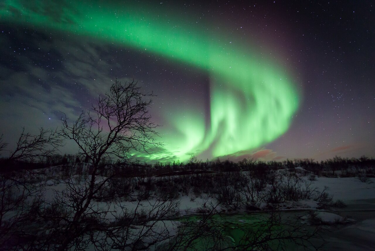 Aurora and winter trees on Ringvassøya near Tromsø