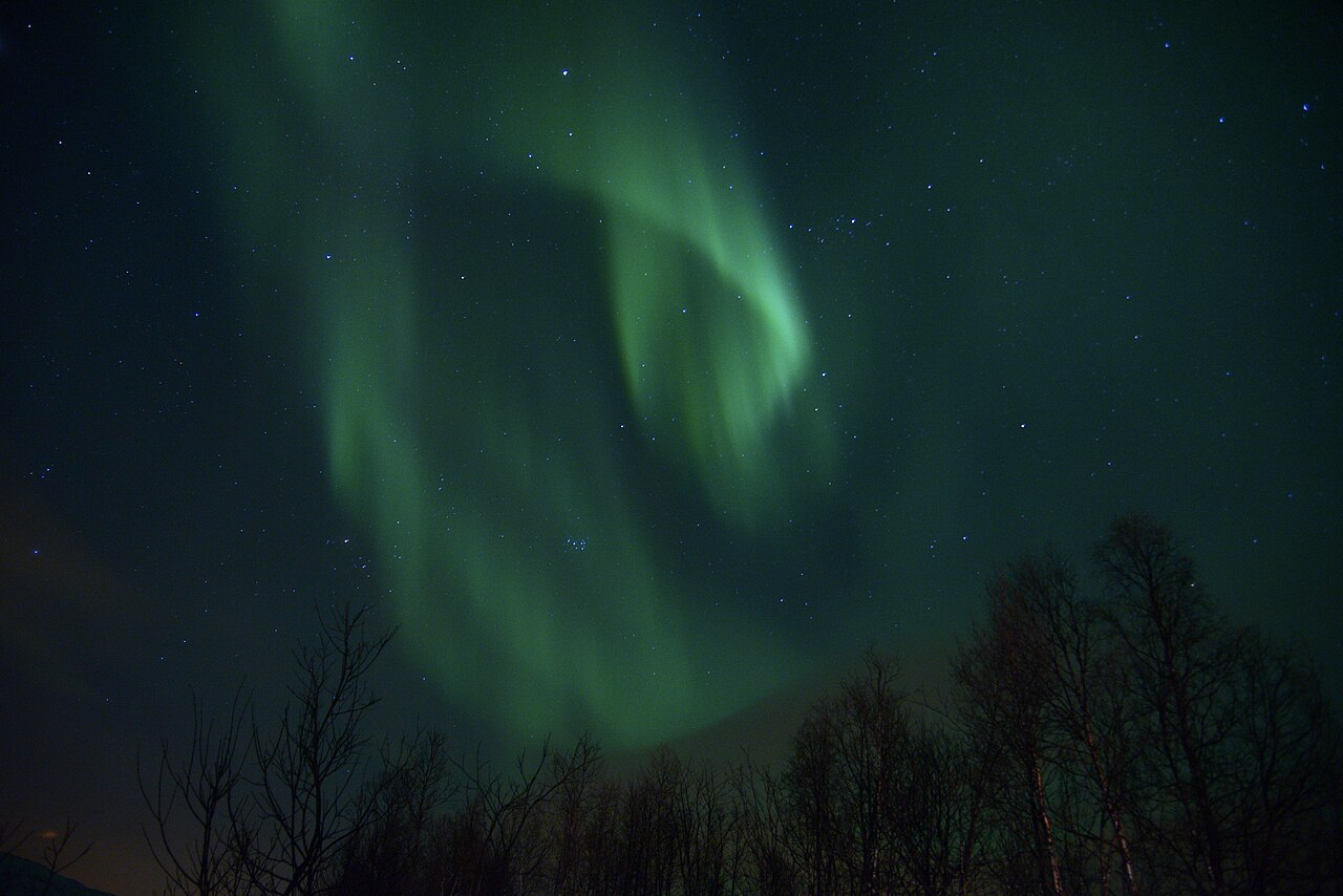 Green northern lights above trees in Tromsø