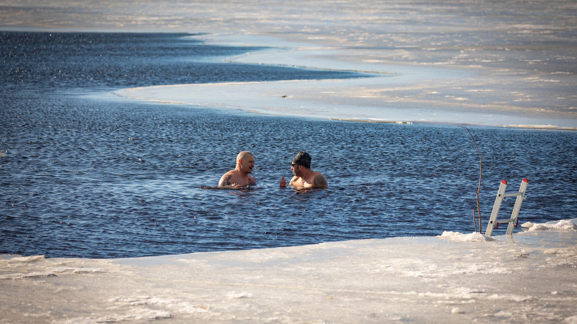Cold-water swimmers in a partially frozen Arctic lake