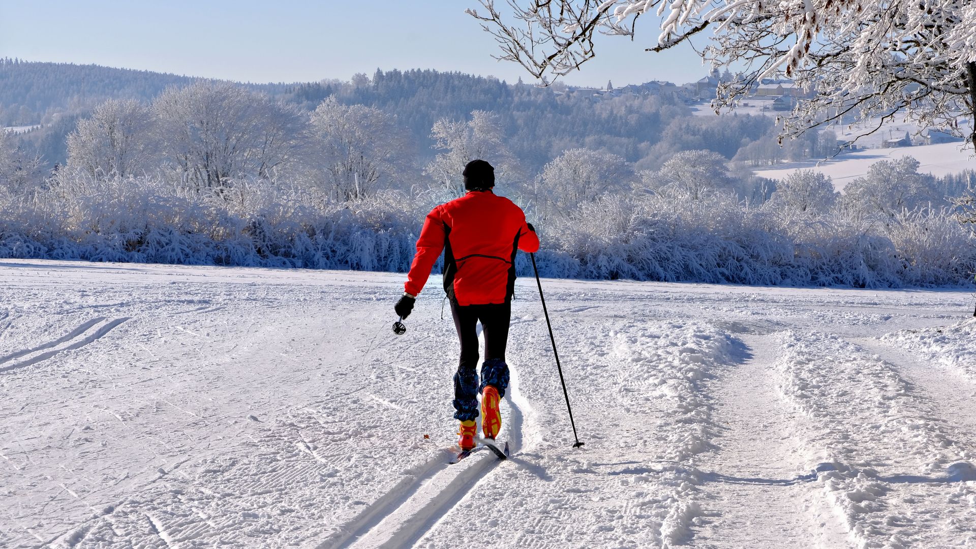 Cross-country skier on a snowy winter trail