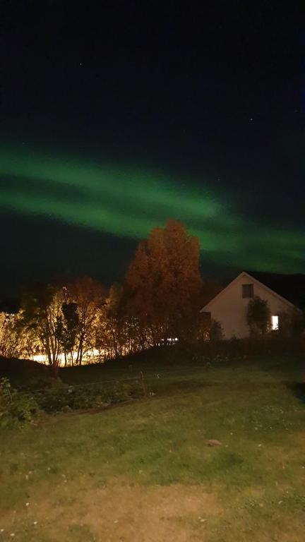 an image of the northern lights in the sky at Strand Apartments in Kvaloysletta — Strand Apartments