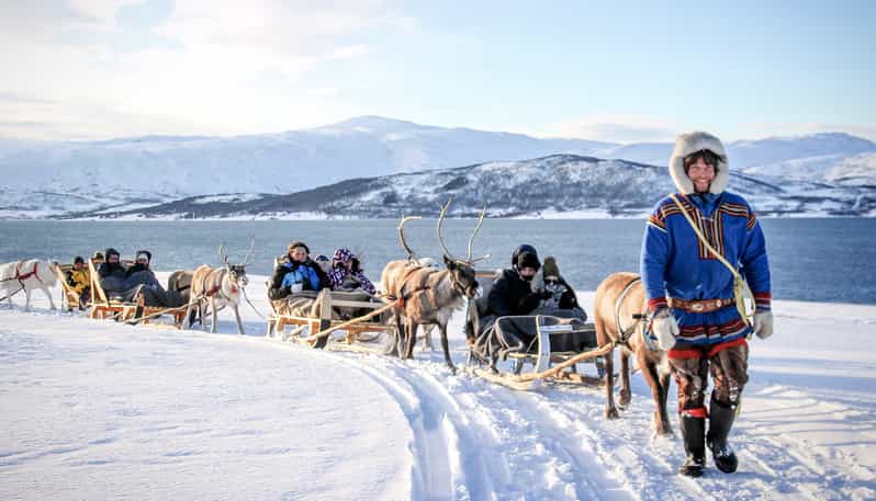 Reindeer sledding in snowy scenery near Tromsø; illustrative category photo