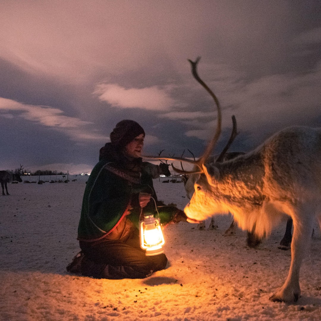 Sámi host beside a reindeer at a winter camp at dusk