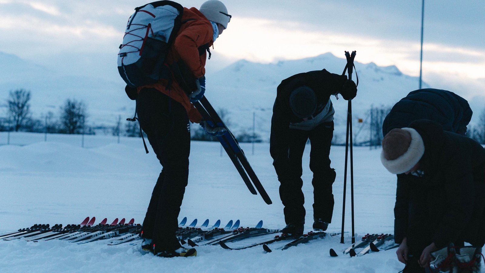 Guided cross-country ski group exploring a winter trail near Tromsø — photo 1 of 5