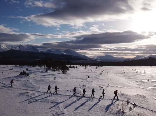 Small group on an easy snowshoeing tour near Tromsø