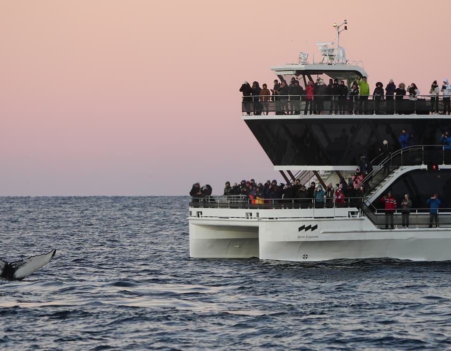 Hybrid-electric whale-watching vessel in an Arctic fjord — photo 1 of 5