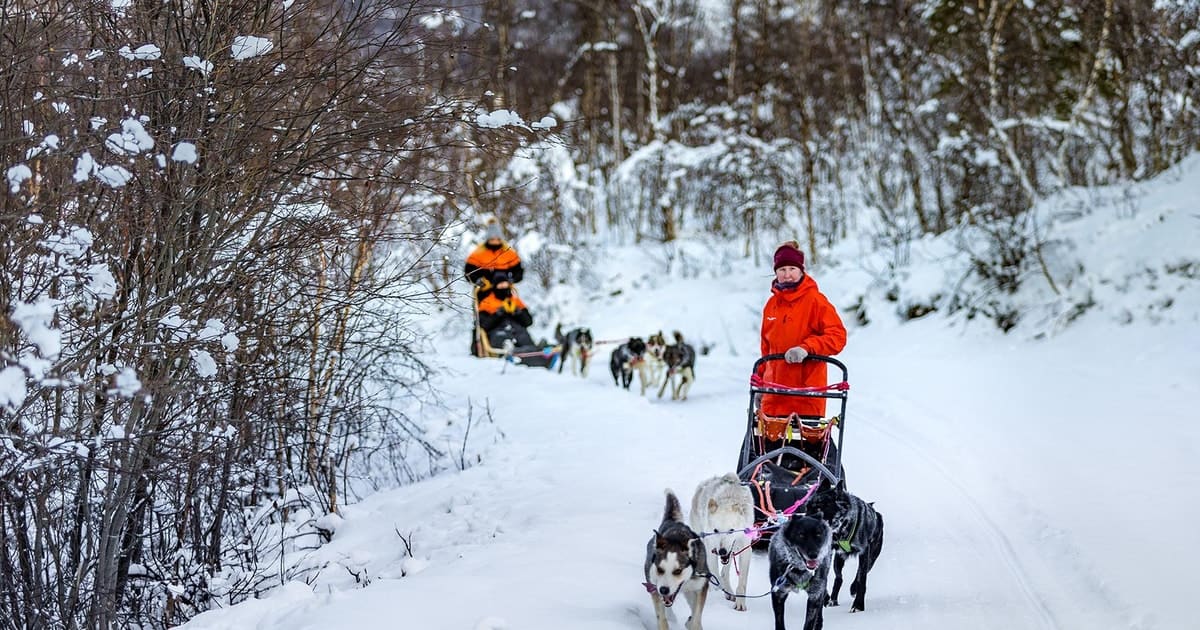 Dog-sledding team travelling through Tamokdalen — photo 1 of 5