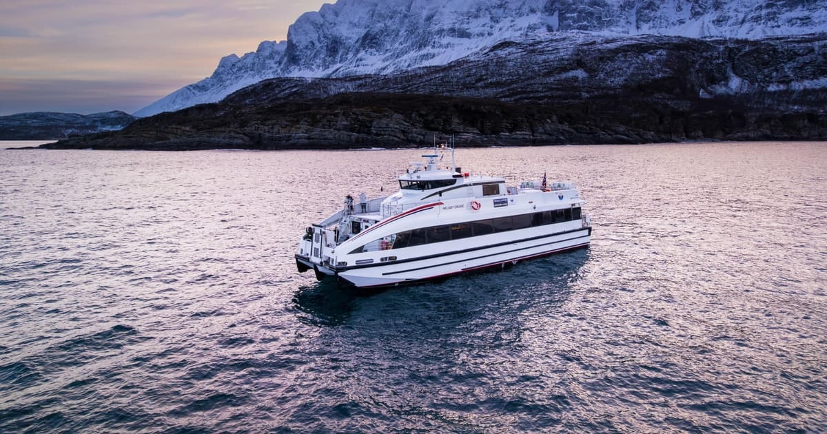 Whale-watching catamaran in Arctic water