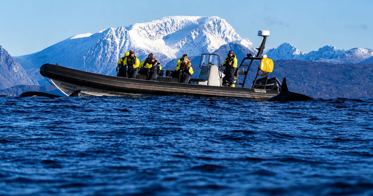 Small RIB whale-watching boat in Arctic water